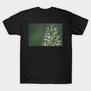 Grass Seeds T-Shirt